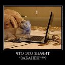 ���� Johnychita, ������, 54 ���� - ��������� 9 ������� 2011 � ������ �������