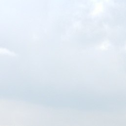 �������, ������, 78 ���