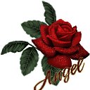 ���� �������, �������, 38 ��� - ��������� 24 ������� 2010 � ������ ���������