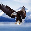 ��� �� ������� ���� ����������