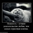 ���� ���������, ������, 36 ��� - ��������� 28 �������� 2010 � ������ �������