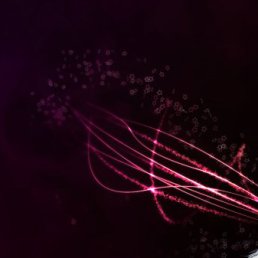 ���� Begemoto, ������ �������� - ��������� 15 ���� 2011