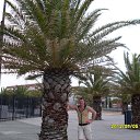 ���� ��������, �����������, 55 ��� - ��������� 1 ����� 2012 � ������ ���� ����������