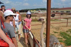 �����, ��������, 24 ����