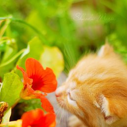 ���� ������, ������, 55 ��� - ��������� 18 �������� 2010