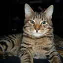  , , 67  -  3  2012    .