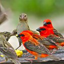  ,  -  19  2011       ...