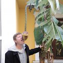 ���� �����, ������������, 57 ��� - ��������� 4 ������ 2013 � ������ ���� ����������