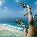 ���� Saeed, ������ - ��������� 30 ����� 2012 � ������ ���� ����������