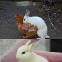 ���� ����, ���������, 41 ��� - ��������� 26 ������ 2013 � ������ ������ ��������