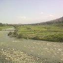 ��������� �� ������� ���� ����������