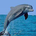 ���� ����, ����-�����������, 45 ��� - ��������� 28 ������ 2011 � ������ ���� ����������