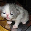 ���� ����. ��������� �� ��!, ������, 72 ���� - ��������� 28 ����� 2011 � ������ �������� ����