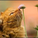 ���� ��������, ���� - ��������� 2 ������ 2013 � ������ ���� ����������