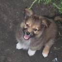 ���� �������, ��������, 52 ���� - ��������� 25 ������� 2011 � ������ ���� ������