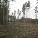 ���� ������, �����-���������, 68 ��� - ��������� 25 ������ 2010 � ������ ���������� 24 �������