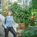 ���� ��������, ������ - ��������� 28 ������� 2011 � ������ ���� ����������