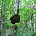 ���� ��������, ������, 72 ���� - ��������� 13 �������� 2011 � ������ ��������