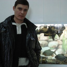 ���� ������, ���������, 53 ���� - ��������� 31 ������� 2011