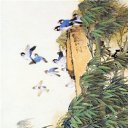 ���� Amindomano, ����� - ��������� 10 ������� 2010 � ������ ������