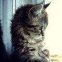 ���� ����, ������ - ��������� 8 ������ 2012 � ������ ���� ����������