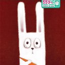 ���� Juwel, ������, 29 ��� - ��������� 8 �������� 2010 � ������ ���� ����������