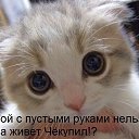 ���� ������, ��������� - ��������� 3 ������ 2013 � ������ �������