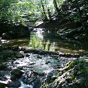 ���� ���������, �������������, 37 ��� - ��������� 17 �������� 2011 � ������ ���� ����������