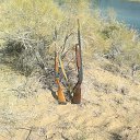 ���� �������, ������, 41 ��� - ��������� 18 �������� 2012 � ������ �� � �� ��� ���