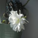 ���� ����, ������, 69 ��� - ��������� 6 ���� 2013 � ������ ���� ����������