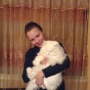 ���� ����, ����������� - ��������� 11 ������� 2008