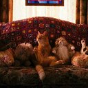 ���� "@����", �����-���������, 25 ��� - ��������� 26 ������� 2010 � ������ �Catc &amp; Docs�