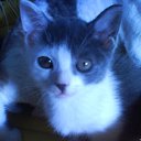 ���� ����, �����-���������, 57 ��� - ��������� 30 ������� 2010 � ������ ���� ��������