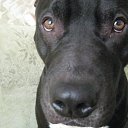 ���� ����, �����, 41 ��� - ��������� 8 ���� 2012