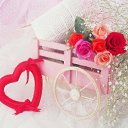 ���� ����), ���������� - ��������� 8 ������� 2009 � ������ �@}-}--�