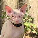 ���� Thumbelina, �����-���������, 52 ���� - ��������� 17 ������ 2011 � ������ �*******�