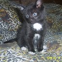 ���� ���������, ����������, 35 ��� - ��������� 26 ������ 2011 � ������ ���������=)�