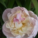 ���� ����@, ��������, 62 ���� - ��������� 21 ���� 2010 � ������ ��������� �������