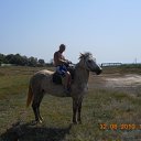 ������ ������������ �� ������� �PetLove�