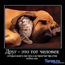 ���� �����, ����������, 60 ��� - ��������� 10 ������ 2010 � ������ �������