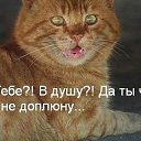 ���� ����, ��� - ��������� 18 ������ 2010 � ������ �������