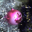 ���� ������, ��������������, 43 ���� - ��������� 9 ����� 2009 � ������ �������