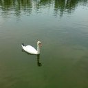 ���� ������, ��������� - ��������� 9 ���� 2012 � ������ ���� ����������