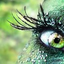 ���� �����, ���, 65 ��� - ��������� 11 ����� 2012