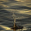 ���� ���������, �����-���������, 45 ��� - ��������� 9 ����� 2010 � ������ �������