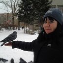 ���� ������� ���������, ����, 38 ��� - ��������� 8 ������� 2013