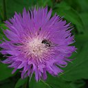  ••,  -  9  2013   RoadKing