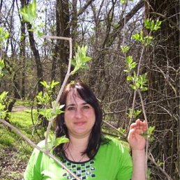 ������, ���������, 53 ����