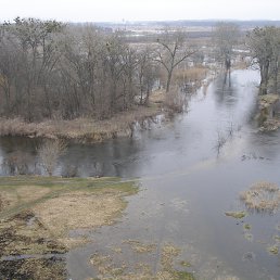 ������...