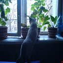 ���� ���������, ������, 58 ��� - ��������� 7 ������� 2012 � ������ ���� ���